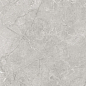 SG625820R Pluto Silver Светло-Серый 60х60 Laparet