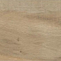 AW21-05 Astone Pine еловый 120х20 Avroria