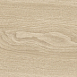 41728 Bloom Dune SP/24x151x0,9/R 24x151 Peronda