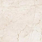 6406 Stone Ivory Polished 60x120 Leopard
