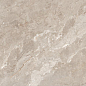 N20767 Rome Taupe Polished 60x120 Neodom фото в миниатюре 3