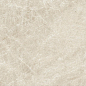 AYL1 Marvel Diva Taj Mahal Field Matte 50x120 Atlas Concorde