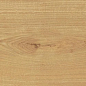 AO48 Exence Almond 20x120 Atlas Concorde