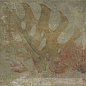 Tahiti Natural 20x20 Mainzu