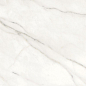 D602197N Calacatta 60x60 Gani