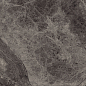 75413 Supreme Charcoal Ret Levigato 60x60 Cerdomus фото в миниатюре 10