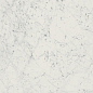 610010001194 Charme Extra Carrara Nat Ret 60x120 Italon