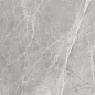 Worner GREY 60x60 Bluezone