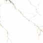 PR126 Bellevue Gold Polished 600х600х9 PrimaVera