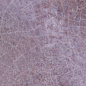 29015 Dyroy Aubergine 6.5x20 Peronda фото в миниатюре 31