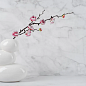 Metropolis King Star Ceramic фото в миниатюре 9