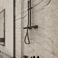 Marble Black Rhino фото в миниатюре 8