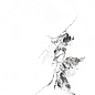 PR129 Videl Bianco polished 600x600x9 PrimaVera