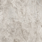 Cordelia Crystal Grey Stonelo Carving 60x120 Realistik
