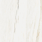 610010002833 Stellaris Carrara Ivory Nat Ret 60x120 Italon