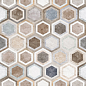 GFU04EVL74R Evolution 60x60 Alma Ceramica (Уралкерамика)