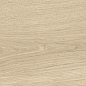 41728 Bloom Dune SP/24x151x0,9/R 24x151 Peronda