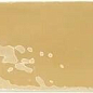 129065 Rebels Mustard Gloss 5х15 WOW