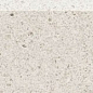 DSAS4786 PIAZZETTA 9.5x60 RAKO