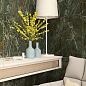 N8259T35 Colorado Dark Nano Polish Rect 60х120 Novin Ceram Yazd Tile Co