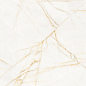 PF60017518 Supreme Hedonism Golden Spider Nat R 60x120 Flaviker