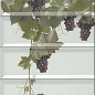 Panno Tempranillo Blanco 40x30 Monopole Ceramica