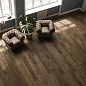 Heartwood Atlas Concorde