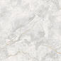 186687 Elison Polished 80x80 Pardis Ceramic Pazh