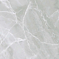 PR152 Almond Light Grey Polished 60x60 PrimaVera
