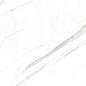 Marble Super Satvario 120x60 Artcer