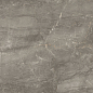 83346 Sybil Silver Levigato 60x120 Cerdomus фото в миниатюре 4