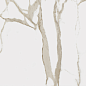 610010000779 Charme Evo Calacatta 60x60 Italon