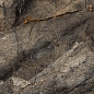Arizona Green 60x120 Bluezone фото в миниатюре 5