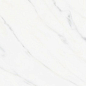 Appolo White Carving 60x120 Staro