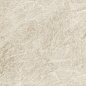 AYL1 Marvel Diva Taj Mahal Field Matte 50x120 Atlas Concorde