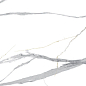 TP3648AM Пафия Белый 30x60 PrimaVera
