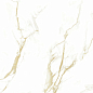 16604 Helion Polished 8mm 60x60 Pardis Ceramic Pazh