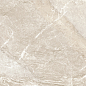 D120262M Wild Gold матовый 600x1200x9.5 New Trend