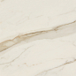 AIAT Golden White Matt RT 60x120 Caesar