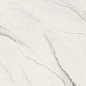 G67580 Statuario White Lux R 60x120 Versace (Gardenia Orchidea) фото в миниатюре