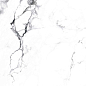 CR4006-A Borghini Silver Carving 60x60 Arcadia Ceramica