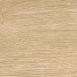 610010002704 Wine Oak Champagne Ret 20x160 Atlas Concorde Russia