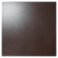 10GCRР 0011 светло-коричневый полированный 60x60 Евро-Керамика