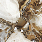Sirius Gold Полированный 60х120 Laparet