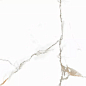 Platinum Gold Glossy 60x120 Art Ceramic