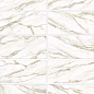 D12054M Omega Gold 1200x600x9.5 Delacora