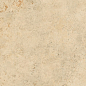 124771 Aurum Ebur Grip 25x50 Century