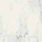 751781 Stones 2.0 Calacatta Glossy Ret 6mm 120x120 Casa Dolce Casa