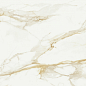 P.E. Pul. Camile gold rect. 120x120 STN Ceramica