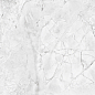 NTTHS99807D Infinity Glacier Map 4D 60x120 NT Ceramic